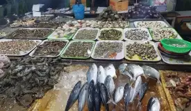 Top 5+ Chợ hải sản lớn nhất Hải Phòng